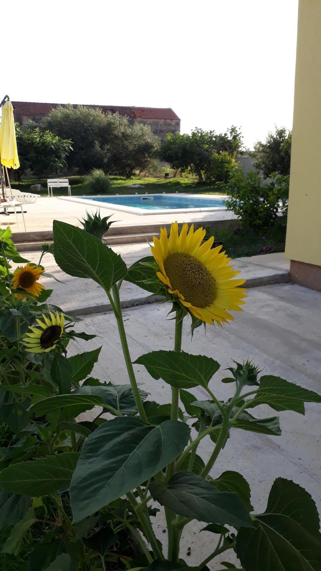 Kutija Apartment *